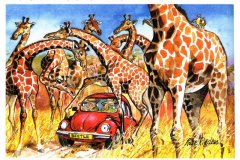 2940_wildside_cartoon