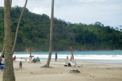 2780_DSCN1287