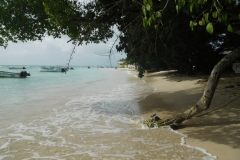 4830_Dscn1896